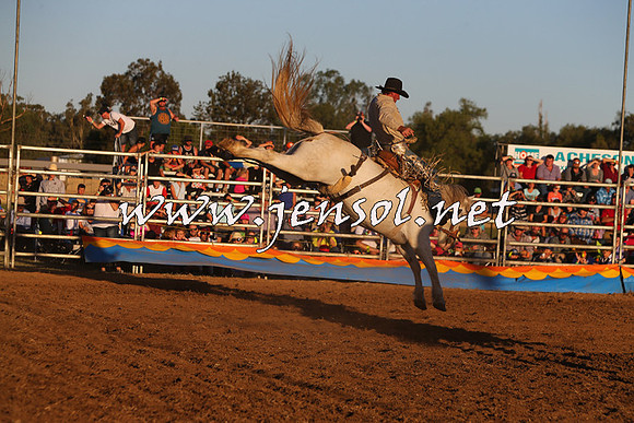 ForbesRodeo2015_1201