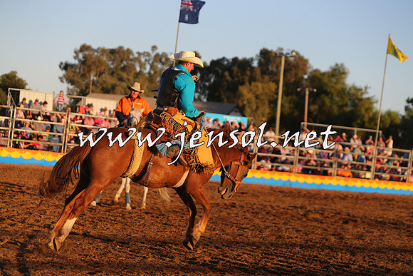 ForbesRodeo2015_1381