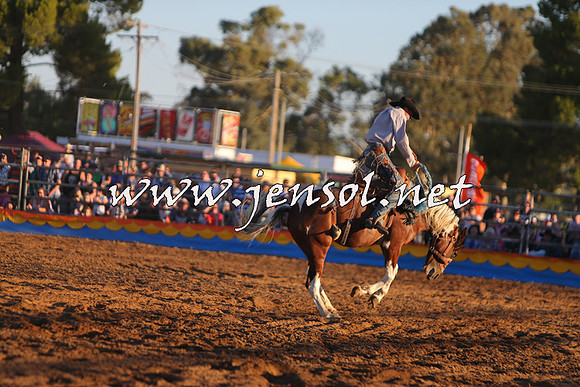 ForbesRodeo2015_1298