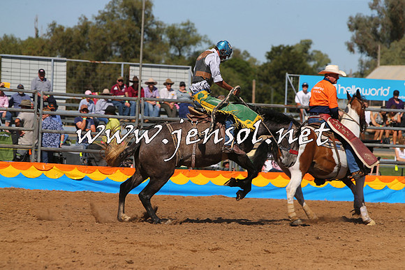 ForbesRodeo2015_0771