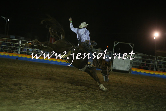 ForbesRodeo2015_2100