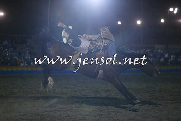 ForbesRodeo2015_2056
