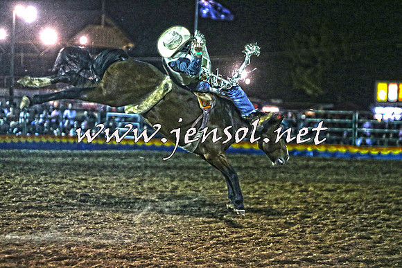 ForbesRodeo2015_2060