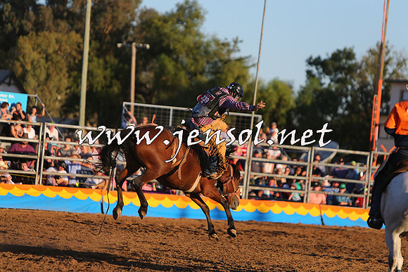 ForbesRodeo2015_1173