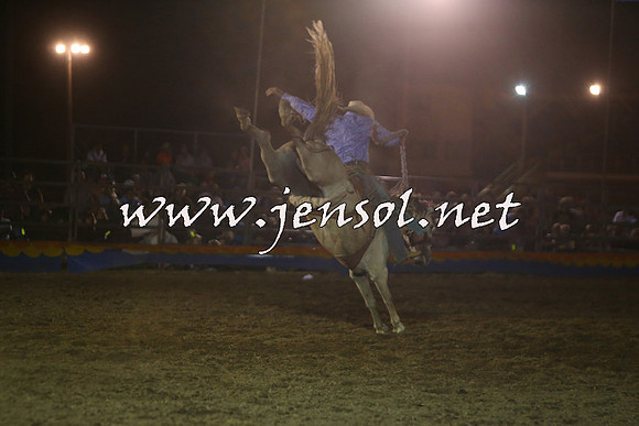 ForbesRodeo2015_2194