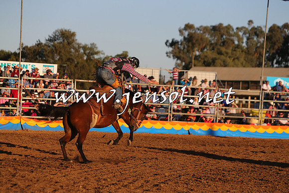 ForbesRodeo2015_1180