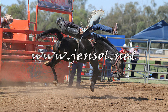 ForbesRodeo2015_0707