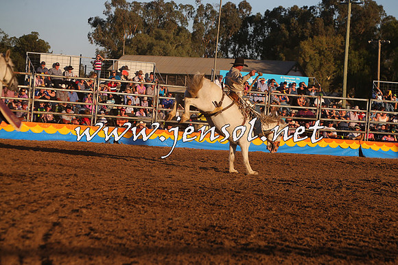 ForbesRodeo2015_1238