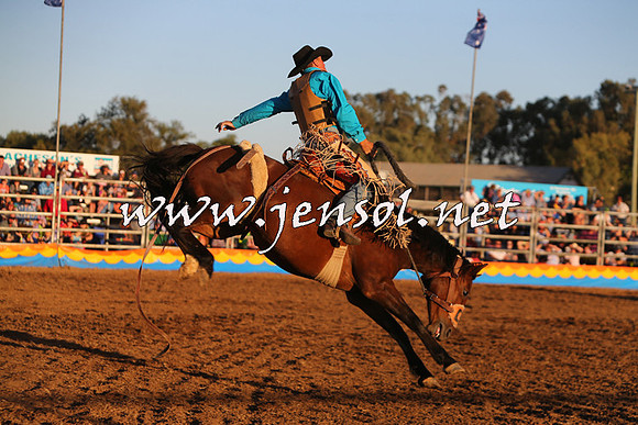 ForbesRodeo2015_1310