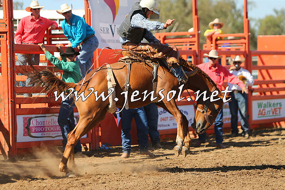 ForbesRodeo2015_0820