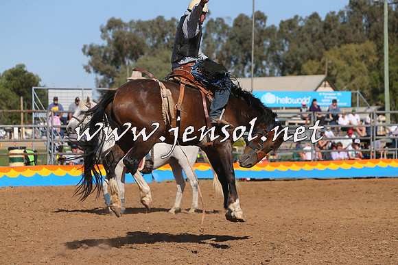 ForbesRodeo2015_1010