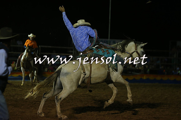 ForbesRodeo2015_2185