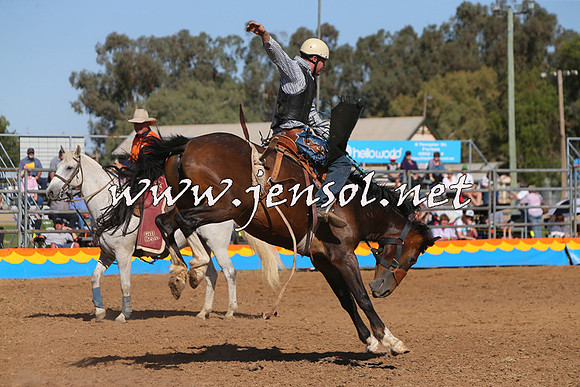 ForbesRodeo2015_1022
