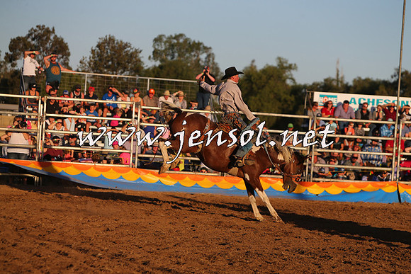 ForbesRodeo2015_1258