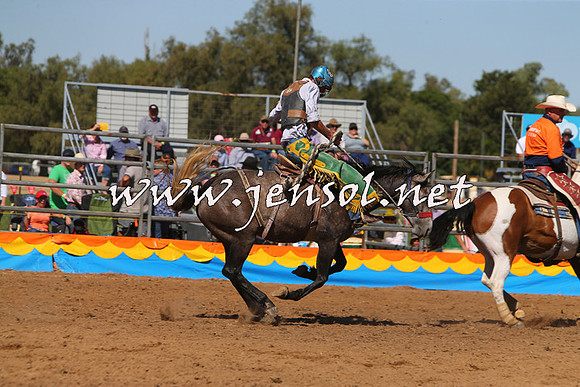 ForbesRodeo2015_0764