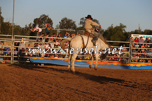 ForbesRodeo2015_1203
