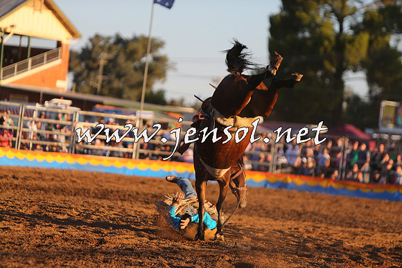 ForbesRodeo2015_1328