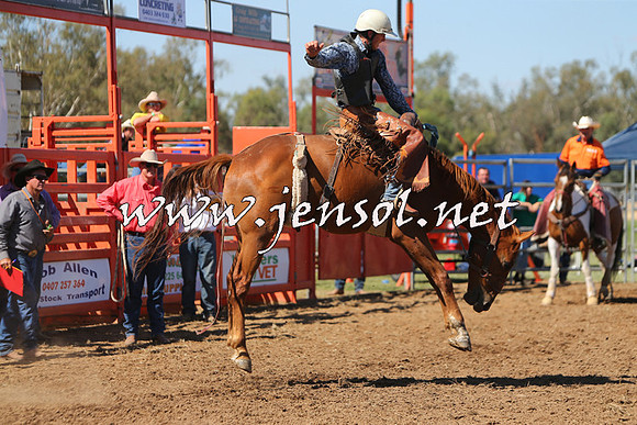 ForbesRodeo2015_0821