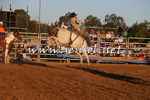 ForbesRodeo2015_1210