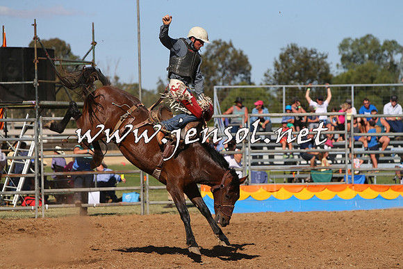 ForbesRodeo2015_0980
