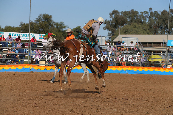 ForbesRodeo2015_1033