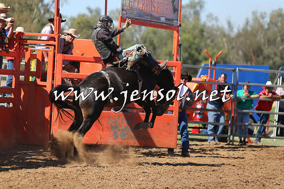 ForbesRodeo2015_0681