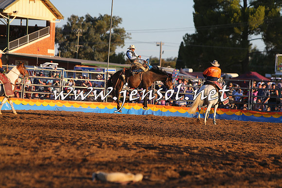 ForbesRodeo2015_1372