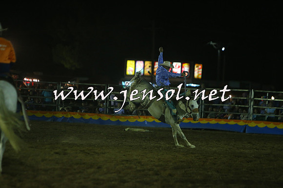 ForbesRodeo2015_2207