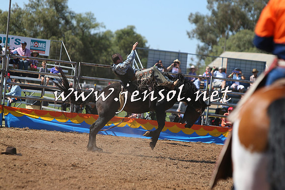 ForbesRodeo2015_0027