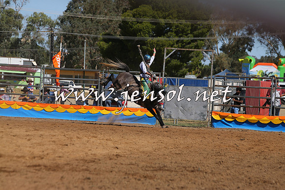 ForbesRodeo2015_0785