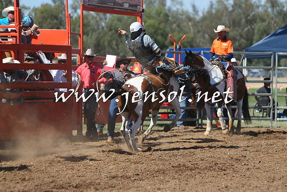 ForbesRodeo2015_0740