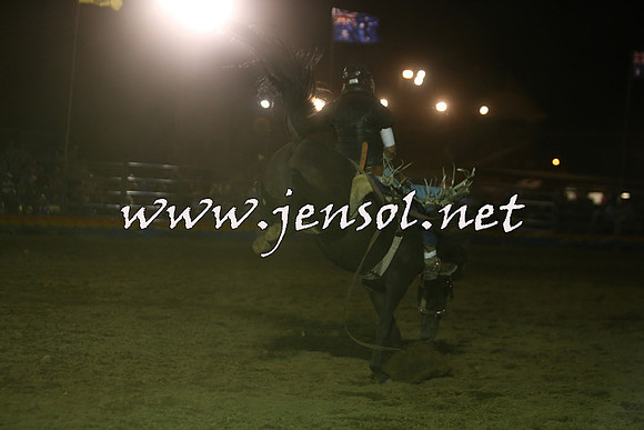ForbesRodeo2015_2027