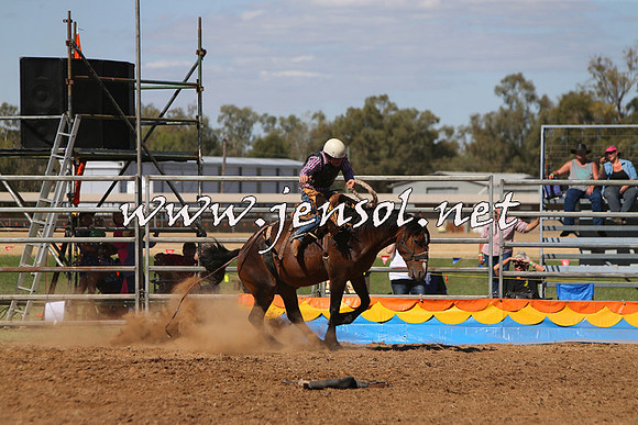 ForbesRodeo2015_0809