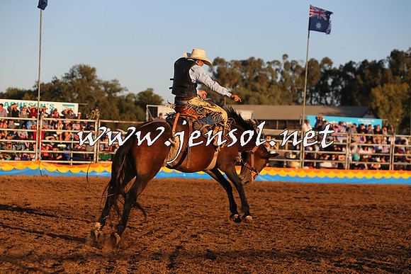 ForbesRodeo2015_1363