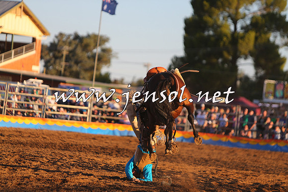 ForbesRodeo2015_1326