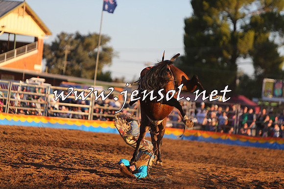ForbesRodeo2015_1331