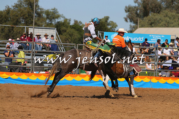ForbesRodeo2015_0765