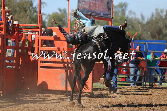 ForbesRodeo2015_0720