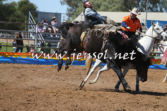 ForbesRodeo2015_0047