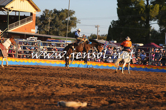 ForbesRodeo2015_1373
