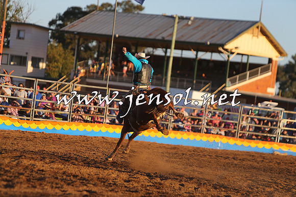 ForbesRodeo2015_1395