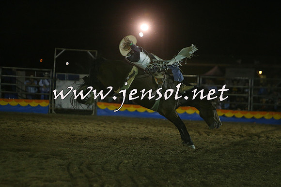ForbesRodeo2015_2067