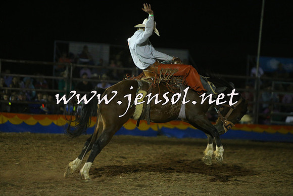 ForbesRodeo2015_2161