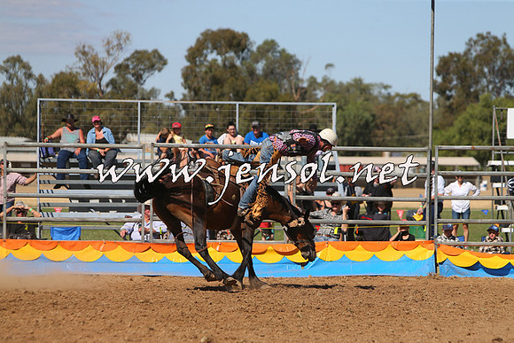 ForbesRodeo2015_0804