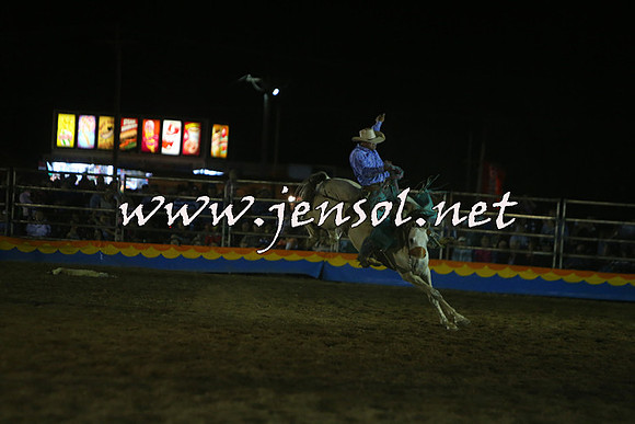 ForbesRodeo2015_2221