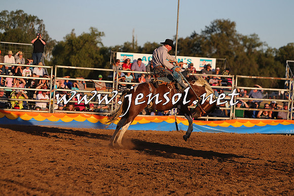ForbesRodeo2015_1257