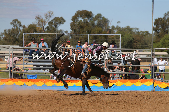 ForbesRodeo2015_0803