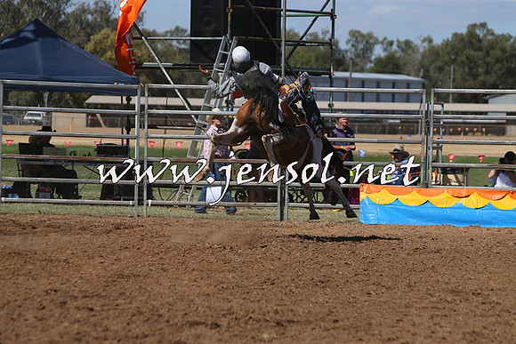 ForbesRodeo2015_0738