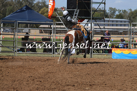 ForbesRodeo2015_0739