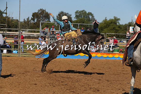 ForbesRodeo2015_0995